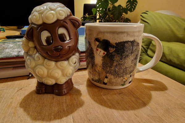 Different type of sheep