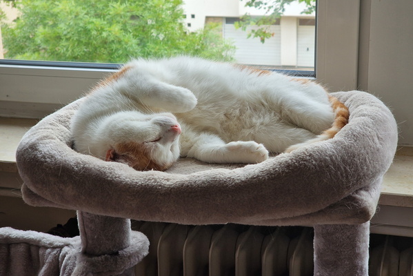 Chilling Timmy