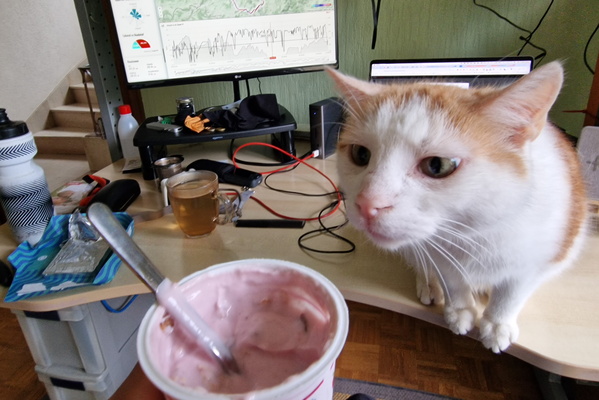 Timmy wants my joghurt