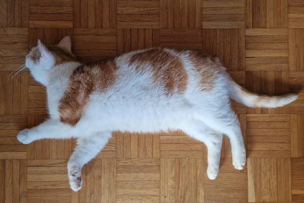 Timmy on the floor