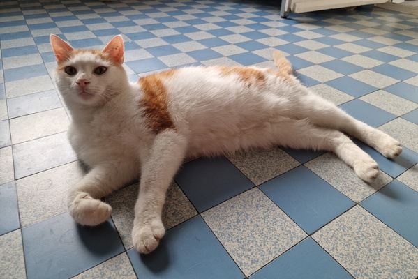 Timmy on the floor