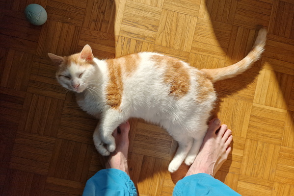 Timmy on my feet
