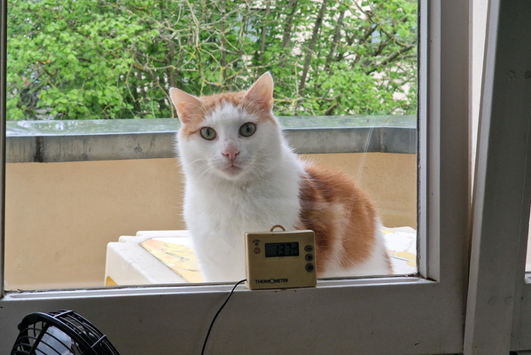 Timmy outside