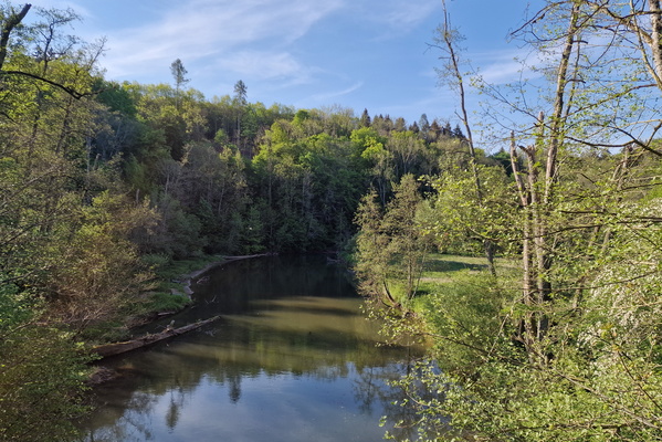 Attert river near Bissen