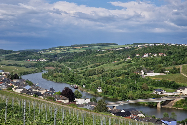 Moselle valley in Wormeldange