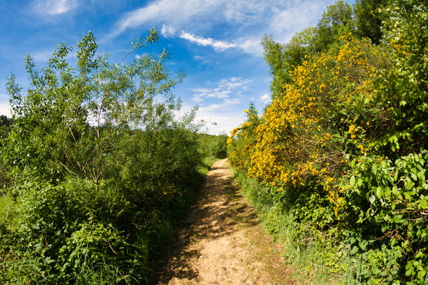 Path near Septfontaines
