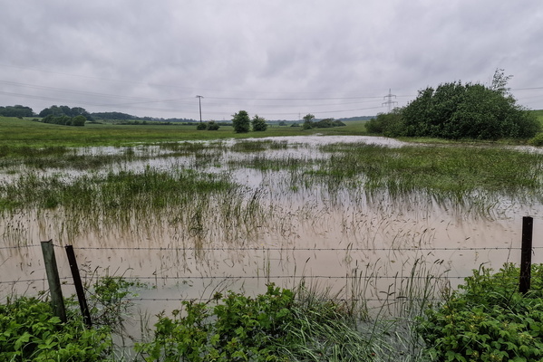 Flooded field near Bertrange