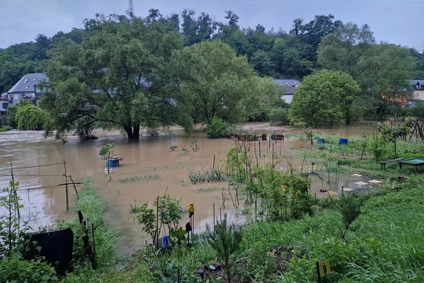 Garden in the water