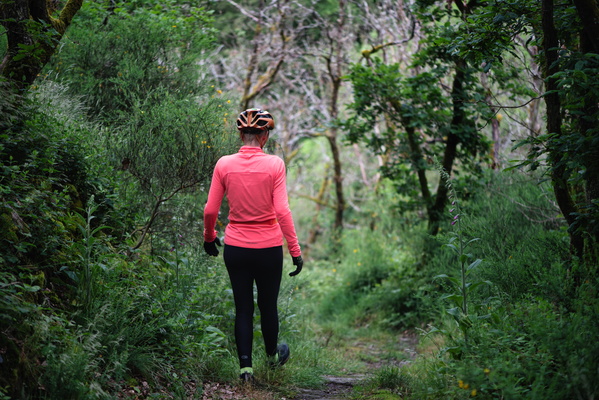 Forest exploration