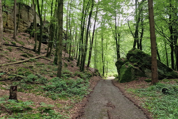 Mullerthal Trail Extra Tour B