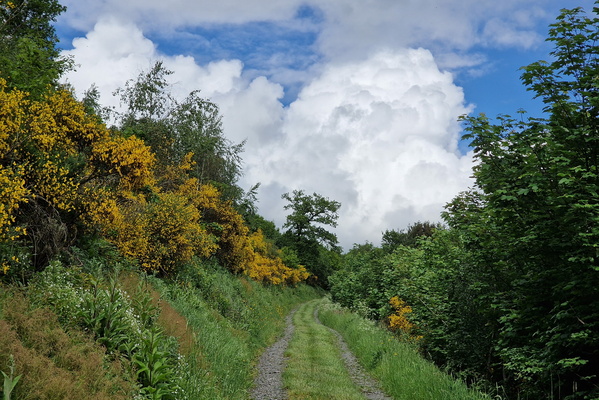 Track near Maulesmillen