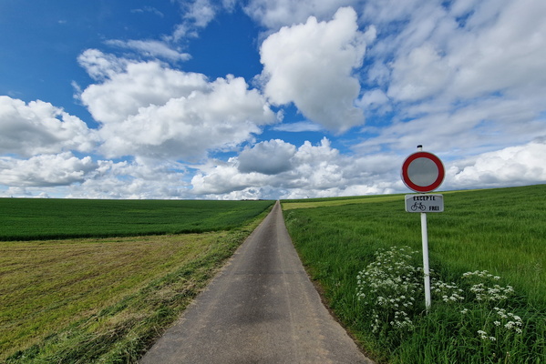 Paved track near Grindhausen