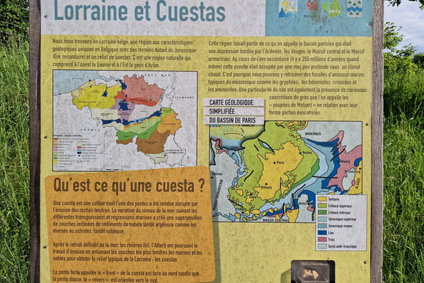 Geology information board in Tattert