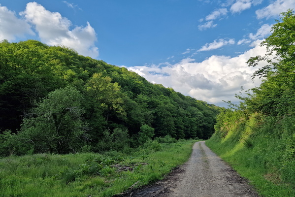 Track near Saint-Léger