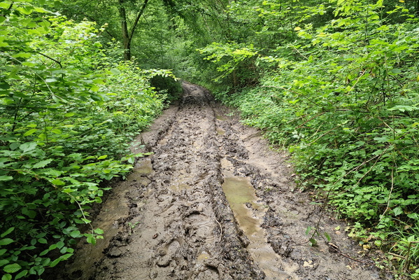 Muddy Perl Bike