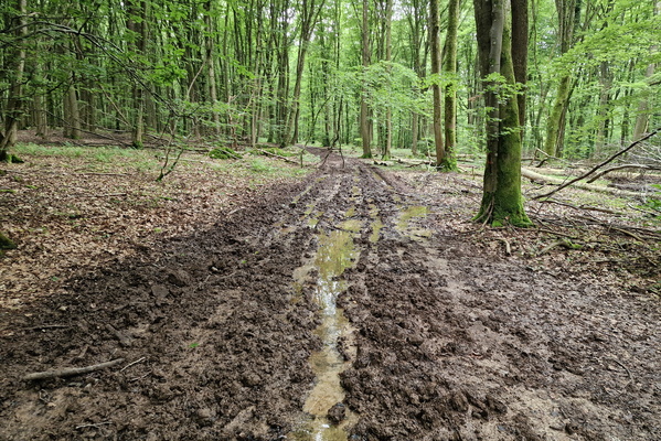 Muddy Perl Bike