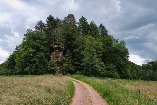 Kollesleuker Schweiz