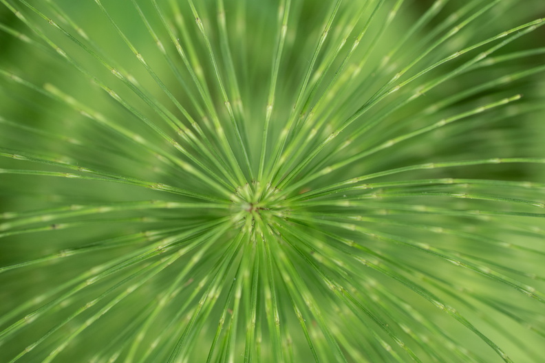20240529_144338.jpg