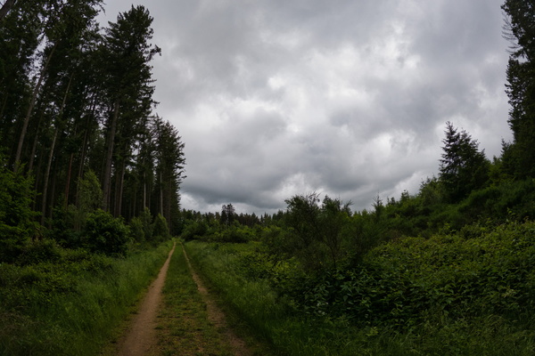 Schéiferei hiking route