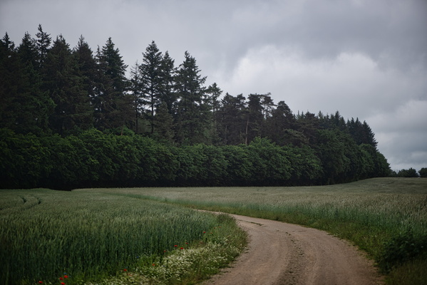 Schéiferei hiking route