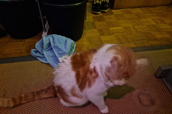 Wet Timmy