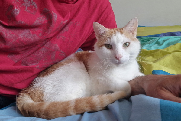 Timmy with me