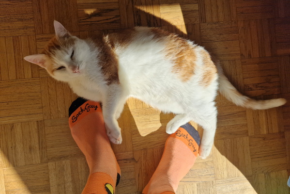 Timmy on the floor