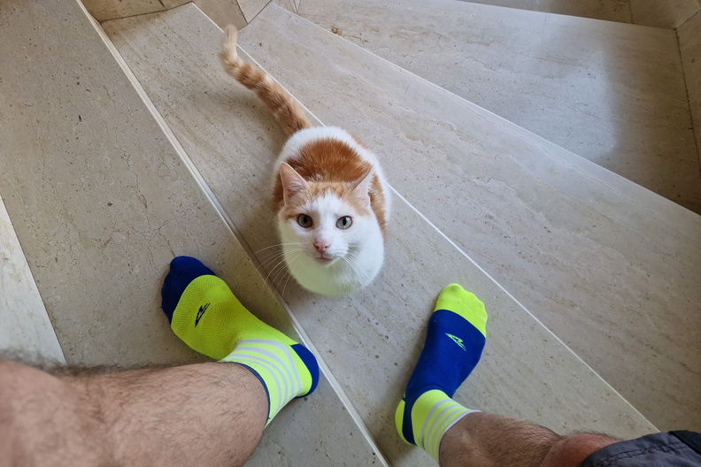 20240628_091251.jpg