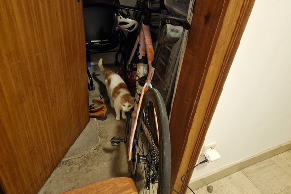 Timmy's inspection
