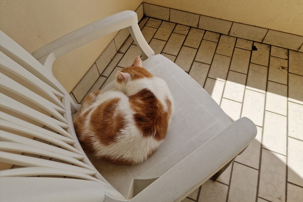 Timmy on a chair