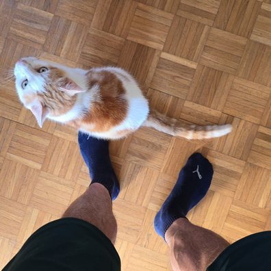 20240729_082929.jpg