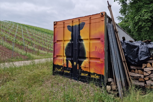 Drink wine with a sheep?