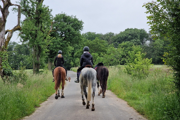 Horse riders