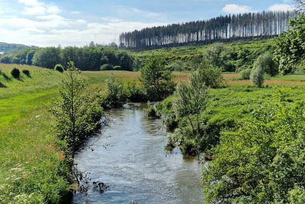 Sauer river near Fauvillers