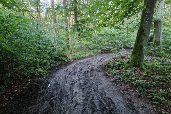 Muddy track near Abweiler