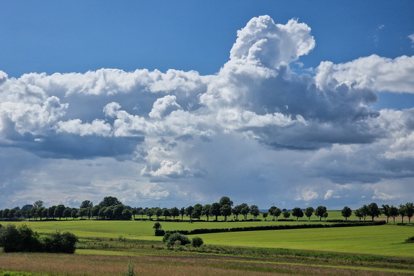 Clouds in the sky