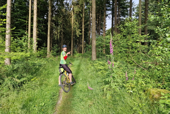 Digitalis in Grünewald