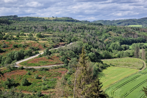 Zigzag road to Eifel valley