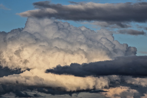 Cotton balls in the sky