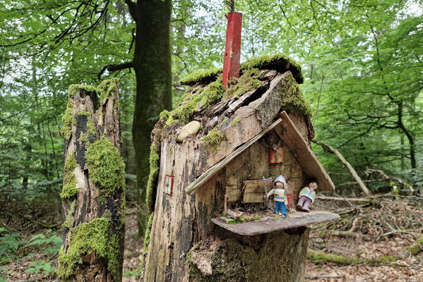 Art on a dead tree