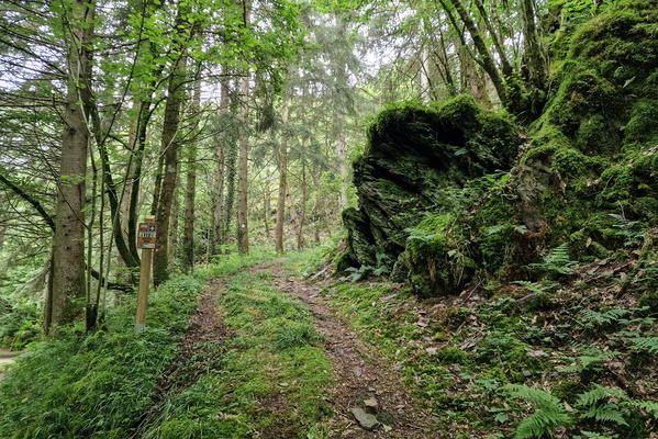 Path near Grondmillen