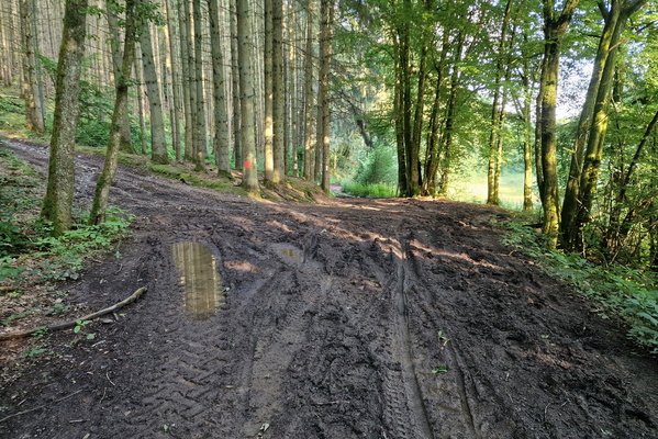 Dirty track in the Lirbech valley