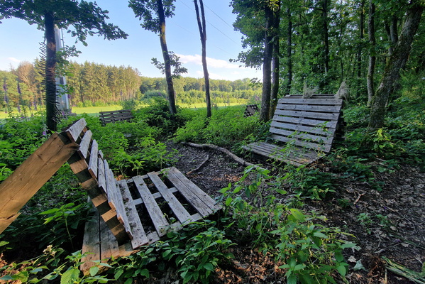 Bench sofa in the forest