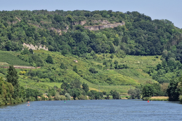 Moselle river near Oberbillig