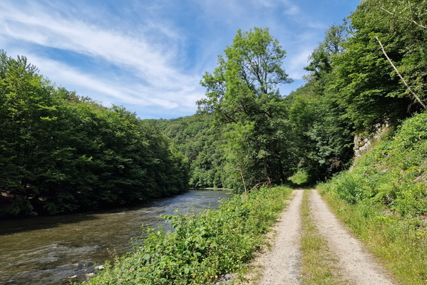 Track along the Semois river between Herbeumont and Sainte-Céci
