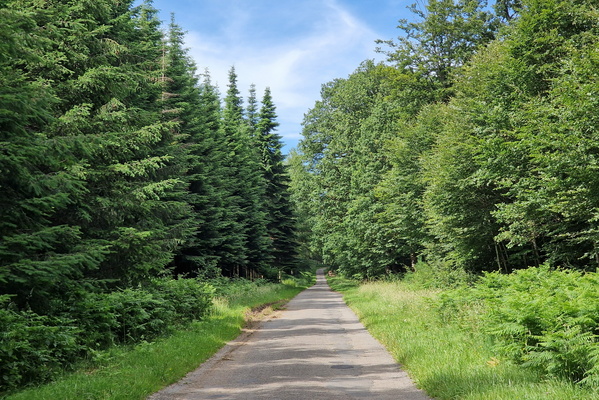 Bike route near La Cuisine