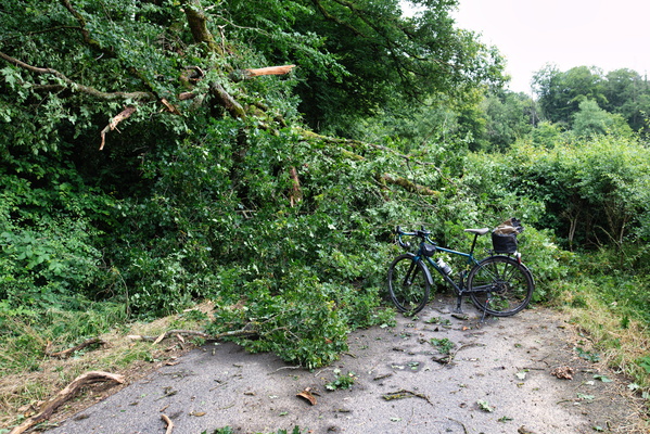 PC 9 after the storm