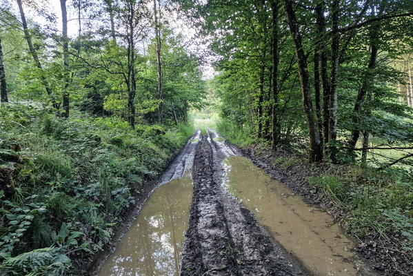Muddy way