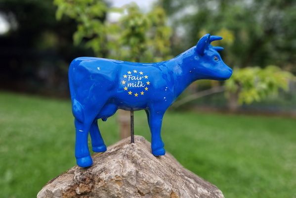 Fair milk artwork