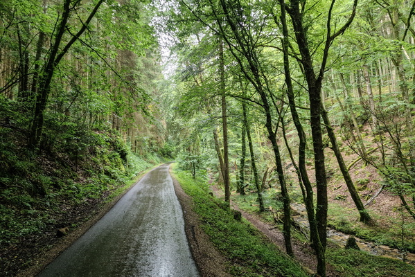 PC 2 near Scheidgen